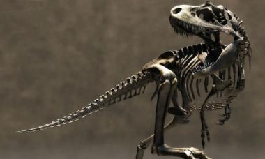 Вымирание динозавров эра